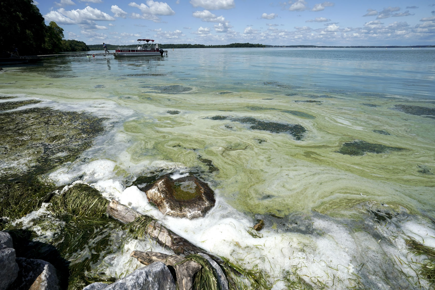 TOXIC FOAM (copy)